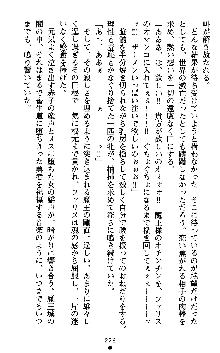 女勇者ファリス 穢された王家の血, 日本語