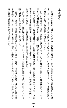 女勇者ファリス 穢された王家の血, 日本語