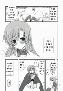 Nanoda!, 한국어