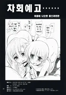 Nanoda!, 한국어