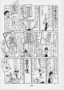 甲冑通信 VOL.15, 日本語