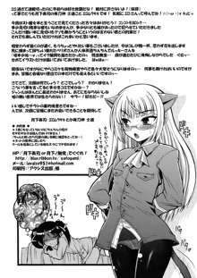 ストライク魔女狩り, 日本語