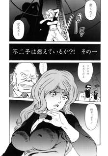 FUJIKO COLLECTION, 日本語