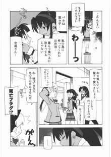 私立三絃堂学園14號, 日本語