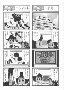 私立三絃堂学園14號, 日本語