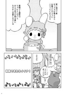 まくらぱんち！, 日本語