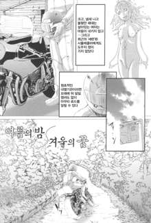 Shoujo Fuu, 한국어