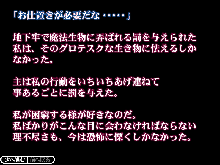 つじ町アニメリクエストVol.7 ヴ○ータ「淫行の主」, 日本語