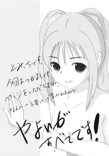 美希にえっちなことをする本, 日本語