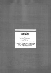 長門に深刻なエラーが発生しました？, 日本語