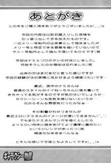 ナミさんあくてぃぶもーど, 日本語