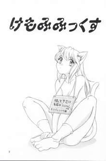 プラスY Vol.25 けもみみっくす, 日本語