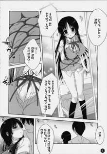 Mio-tan! 3, 한국어