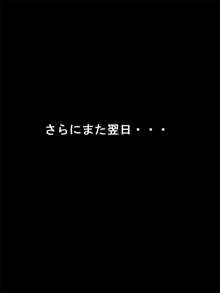 ヤらせて奈々子ちゃん!!, 日本語