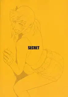 SECRET, 中文