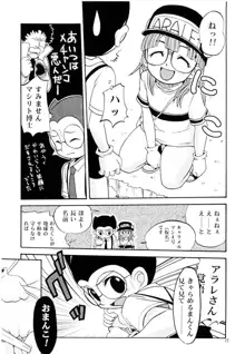 PROJECT ARALE, 日本語