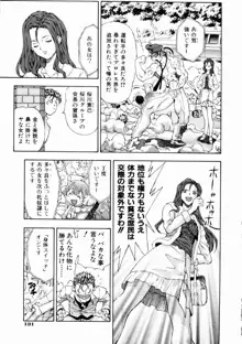 月のうさぎ姫, 日本語