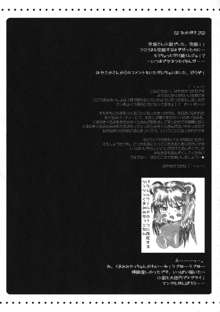 フロうま＊03s 無限のフロンティア＆スパロボZ乳牛姫とセッコたんの本, 日本語