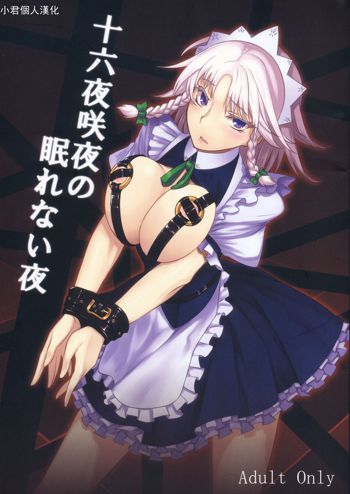 Izayoi Sakuya no Nerenai Yoru, 中文