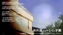 性奴隷ハーレム学園 ～学園唯一の男性教師が女子生徒を好き勝手に犯してみた～, 日本語