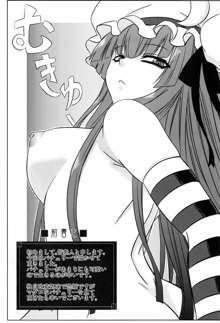 Patchouli to Ashi Bakari no Doujin, English