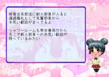 もっともーっと!! ヤリまくり発情しまくり●校生活, 日本語