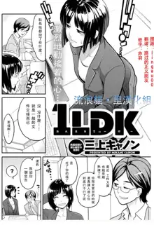 1LDK, 中文