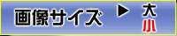 機甲搾精ヒロインズ 後編, 日本語