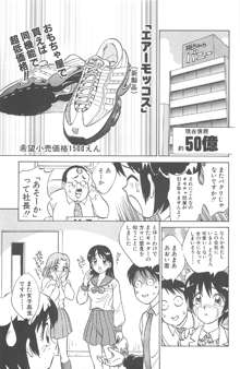 気まぐれパラダイム, 日本語