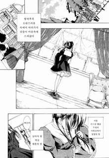 Shoujo Seiiki, 한국어