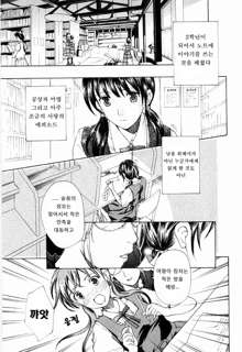 Shoujo Seiiki, 한국어