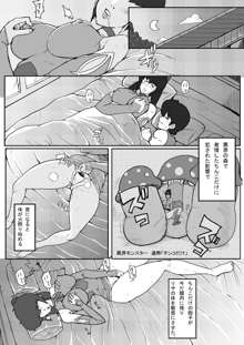 B級漫画 Lisa Final 2, 日本語