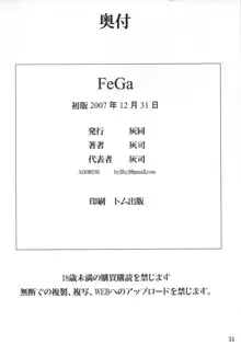 FeGa, 日本語