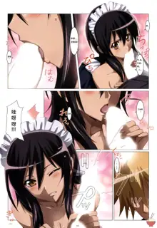 Meid in Maid-sama!, 中文