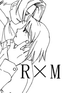 R×M DX, 日本語