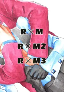 R×M DX, 日本語