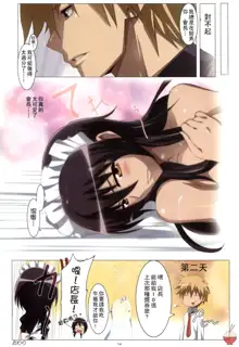 Meid in Maid-sama!, 中文