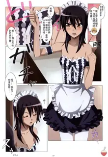 Meid in Maid-sama!, 中文