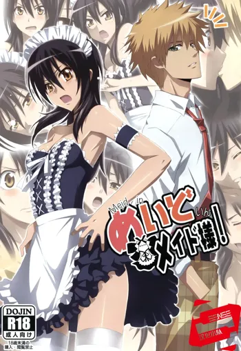 Meid in Maid-sama!, 中文