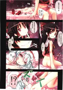 Kichiku Ou Reimu - Touhou Koumakyou Kouryakubon -Koumakan Hen-, 中文