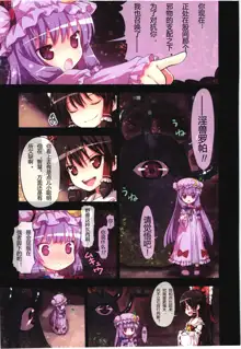 Kichiku Ou Reimu - Touhou Koumakyou Kouryakubon -Koumakan Hen-, 中文