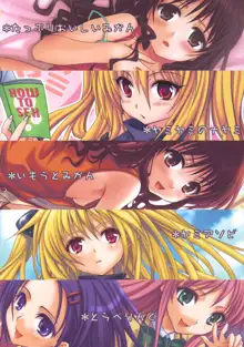 To LOVE-Ru Soushuuhen+, 中文