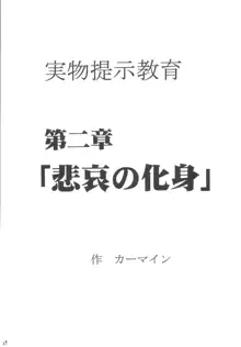 教育総集編, 日本語