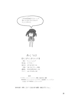 せこ!せこ!にとりR, 日本語