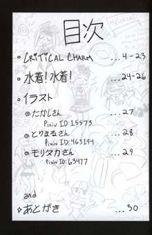 CRITICAL CHARM, 日本語