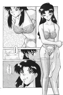 Misato's Past, English