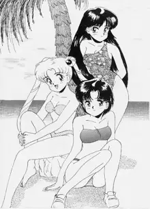 SAILOR MOON MATE 02, 日本語