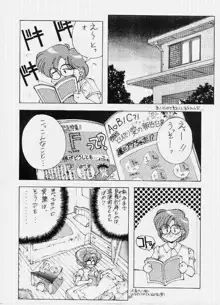 SAILOR MOON MATE 02, 日本語