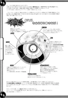 しじゅうしちのゆうきとつるぎ 47 braves&blades ～大嘘忠臣蔵～ ドキッ！女しかいない四十七士 VS キラ軍団, 日本語