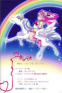 Chiccha na Bishoujo Senshi 2, English